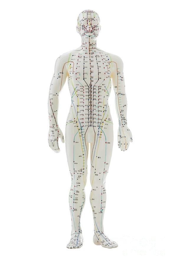 Apex acupuncture center and pain clinic
Best Acupuncture Centre in Lucknow